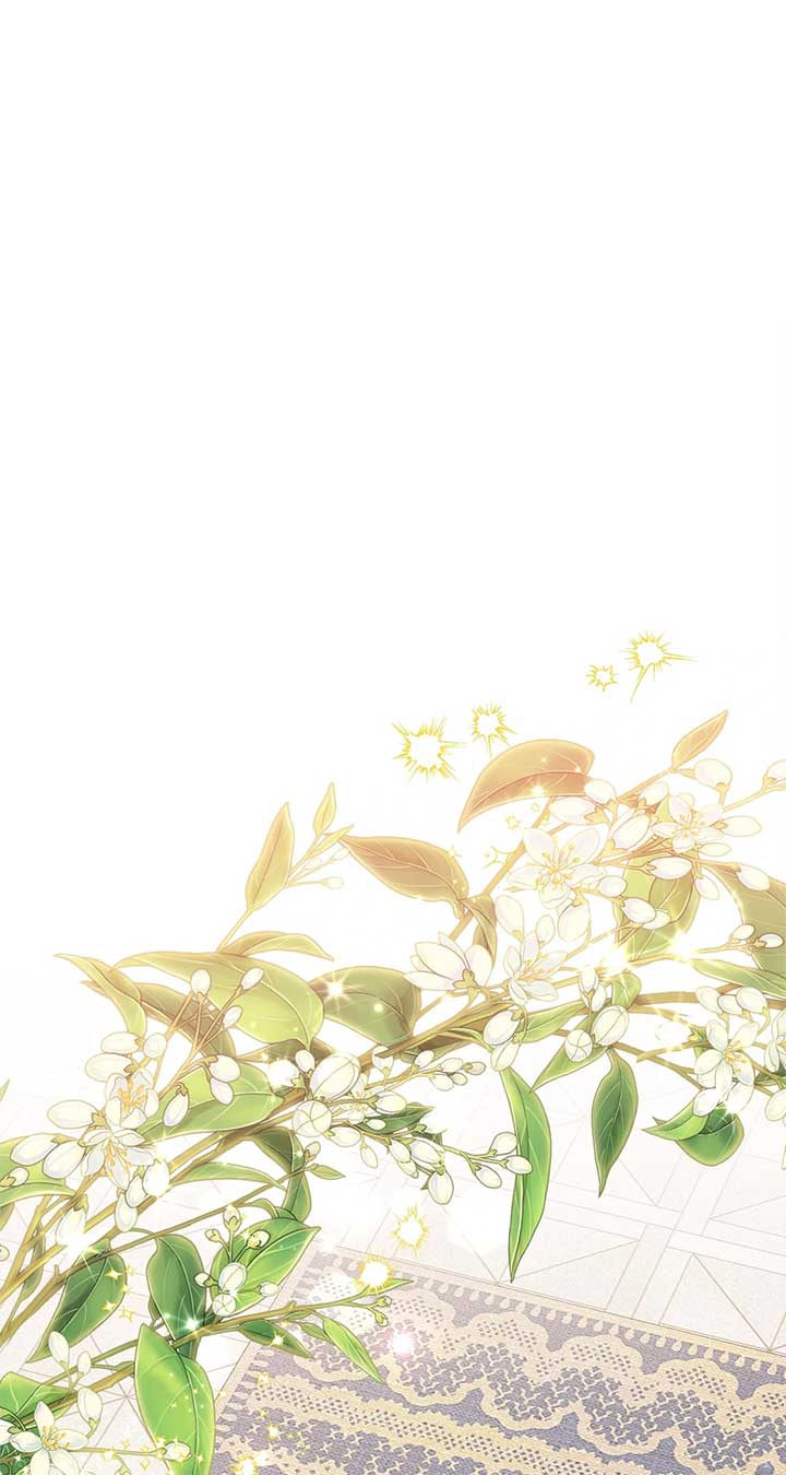 ch 28 29