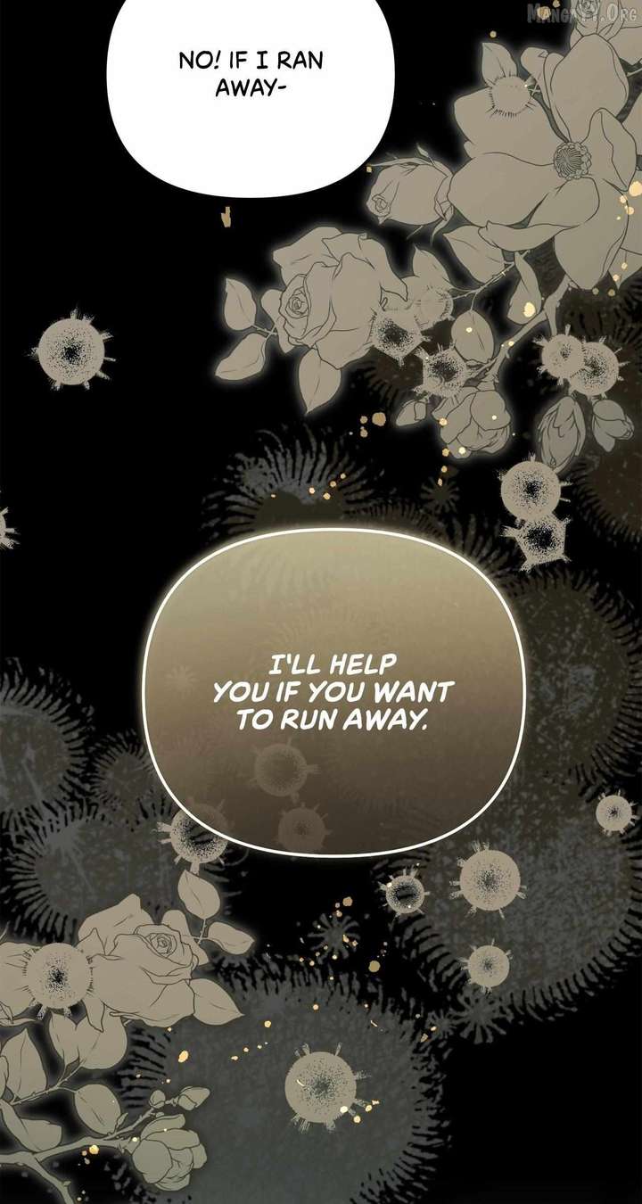 Let Me Enjoy the Extra Life Chapter 56 416 022