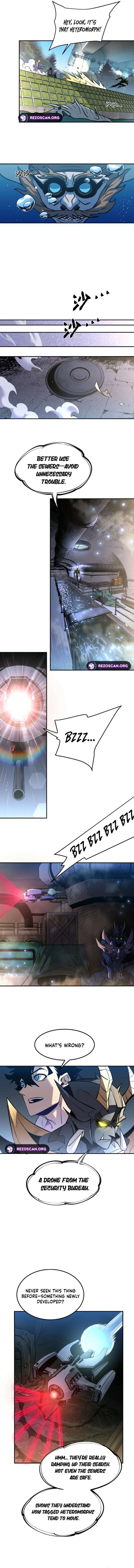 ch 11 3