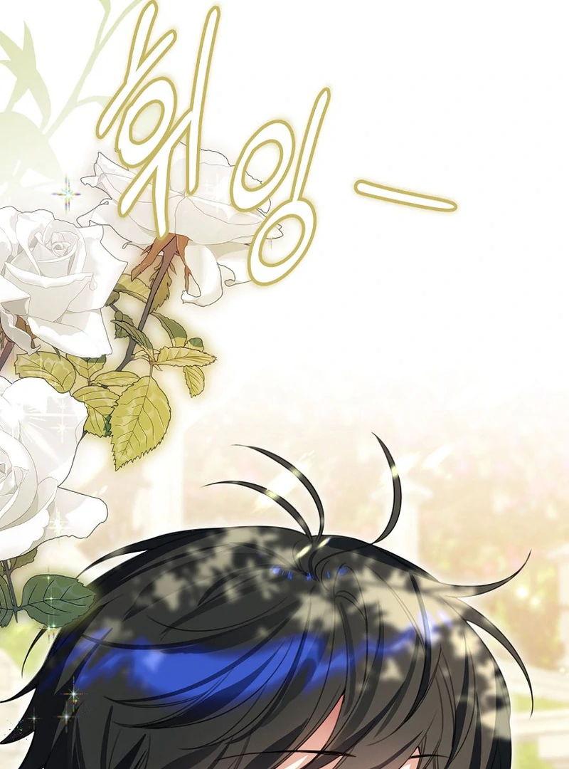 ch 11 38