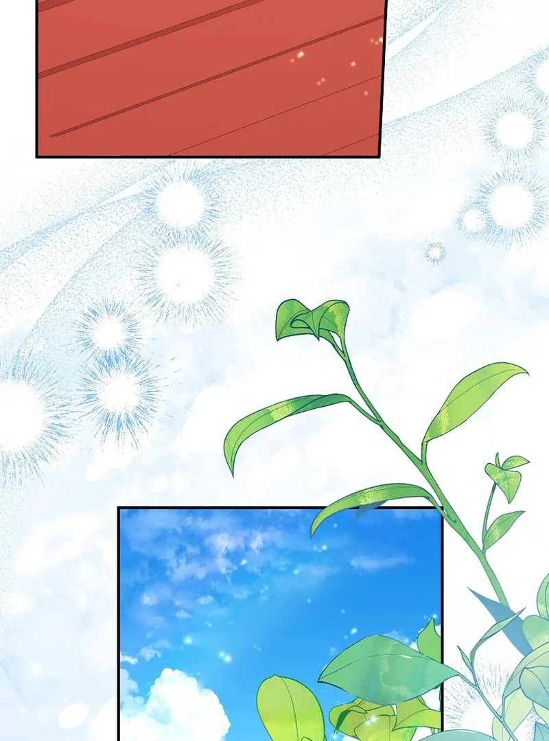 ch 11 43