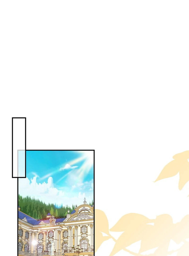 ch 11 58