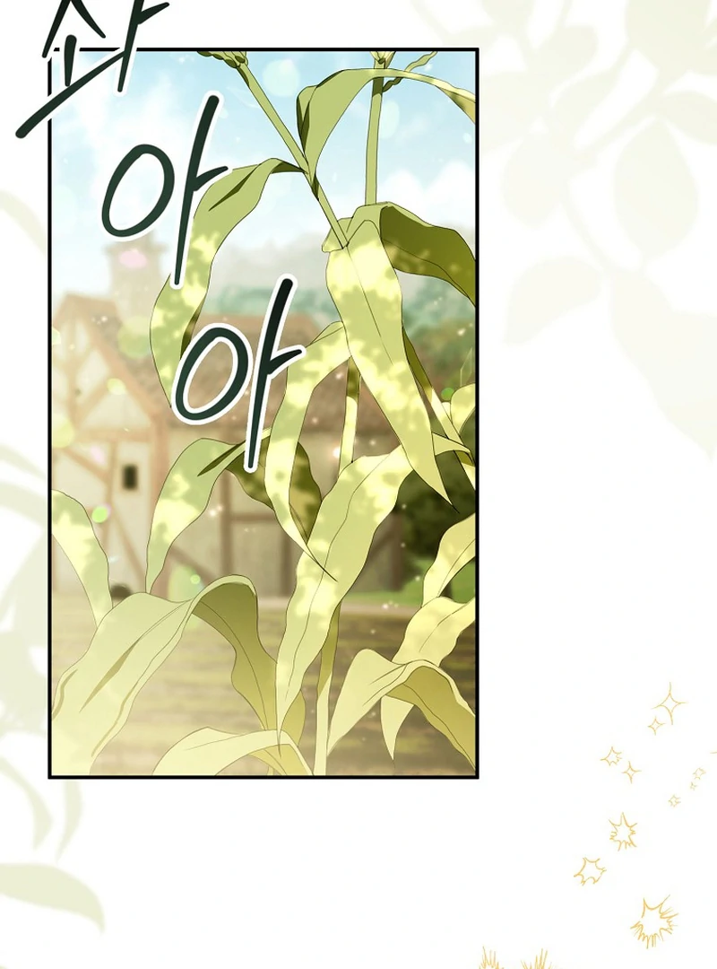 ch 13 6