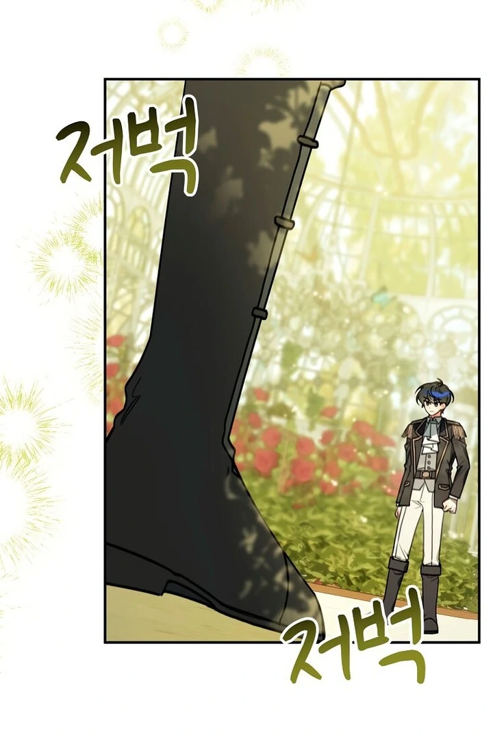 ch 17 37
