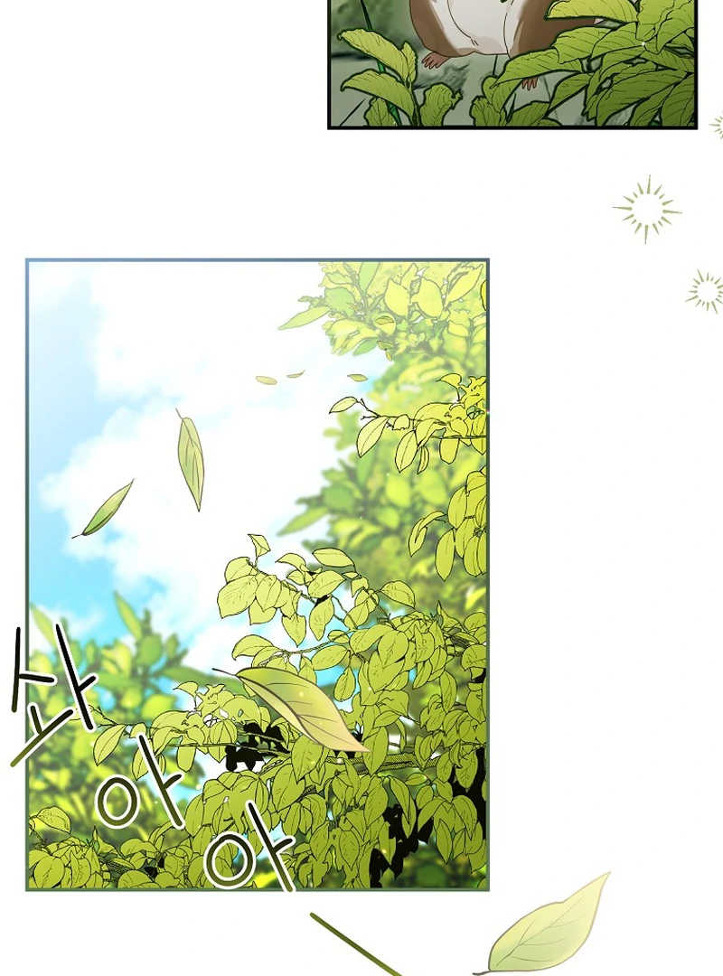 ch 6 31