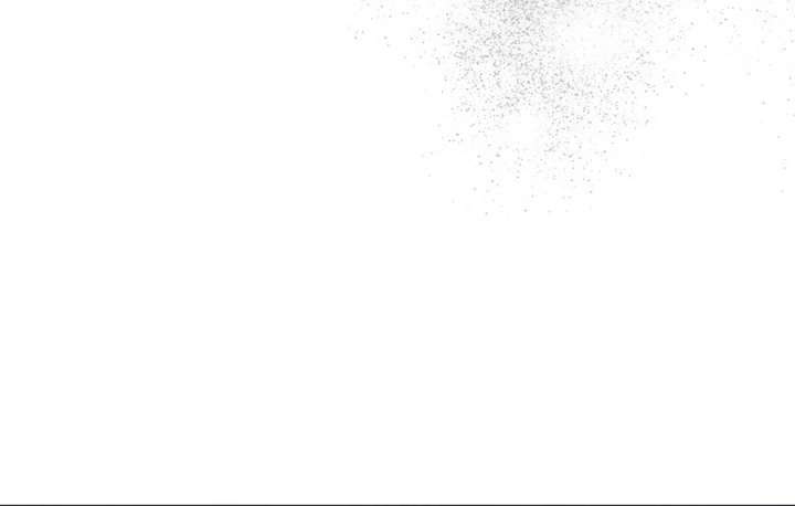 081