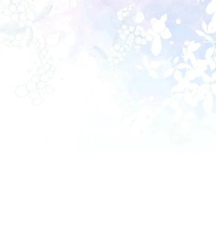 bc9066ea9d81