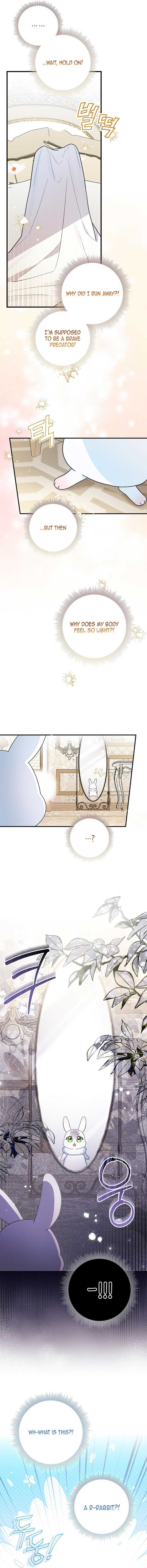 ch 1 15