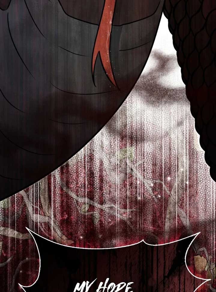 ch 24 32
