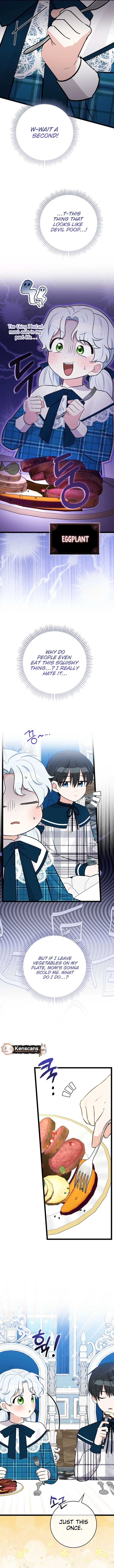 ch 26 8