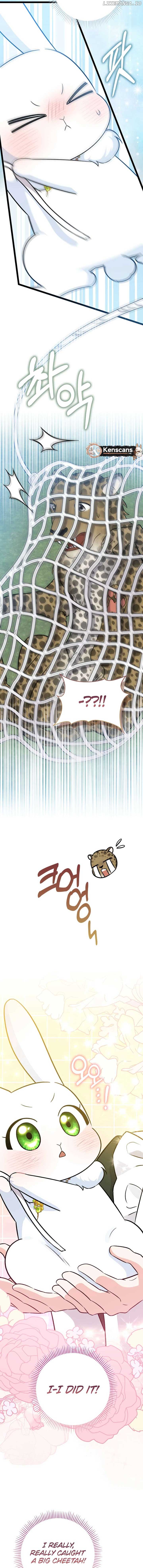 ch 29 11