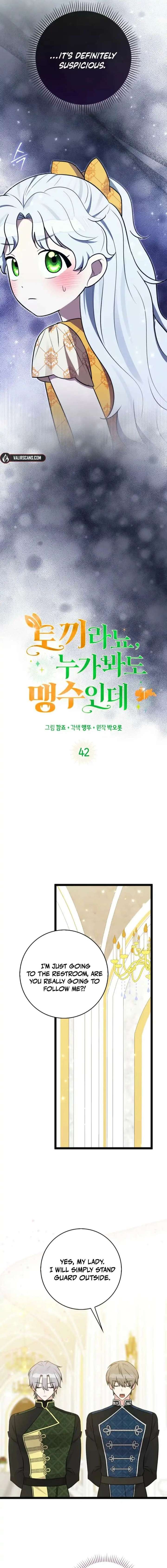 ch 42 3