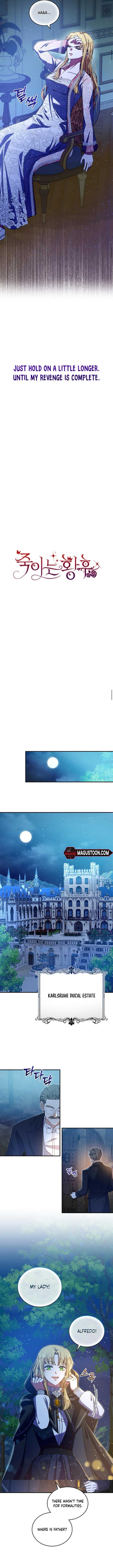 ch 3 5