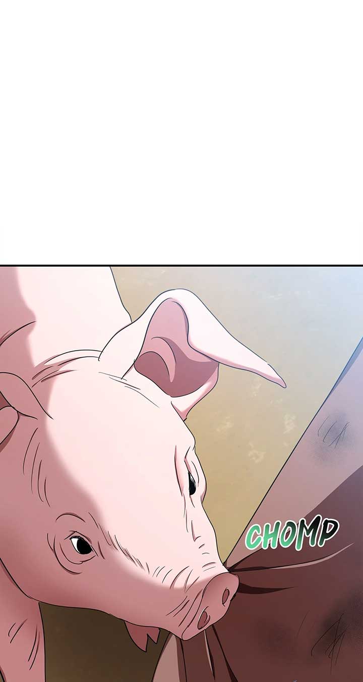 ch 28 19