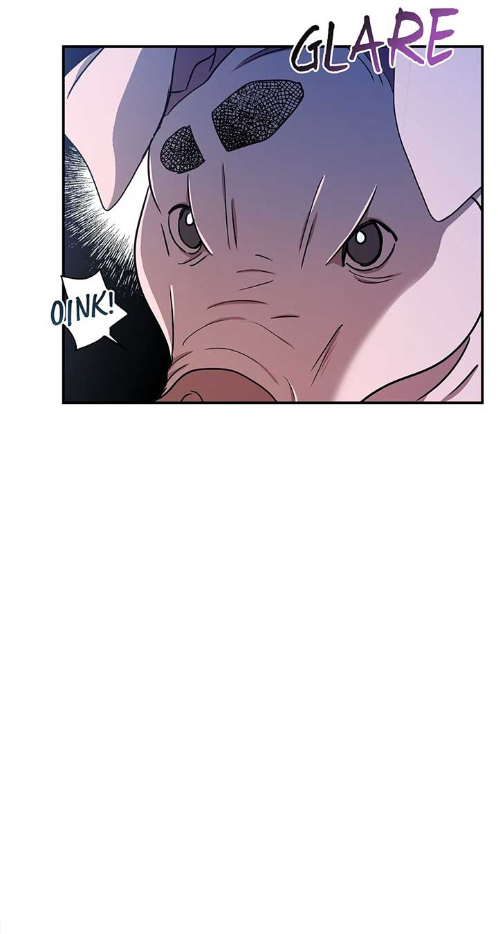 ch 28 23