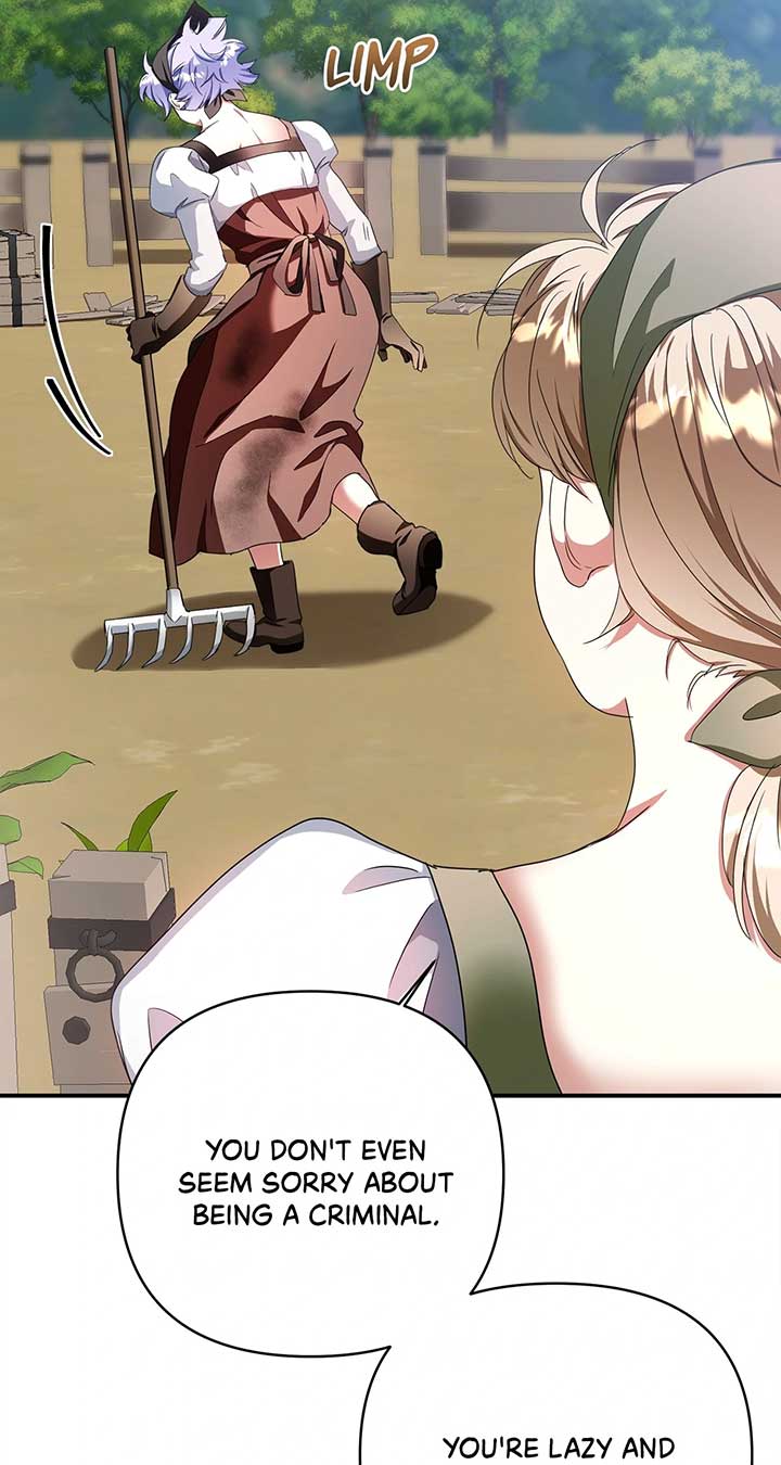 ch 28 33