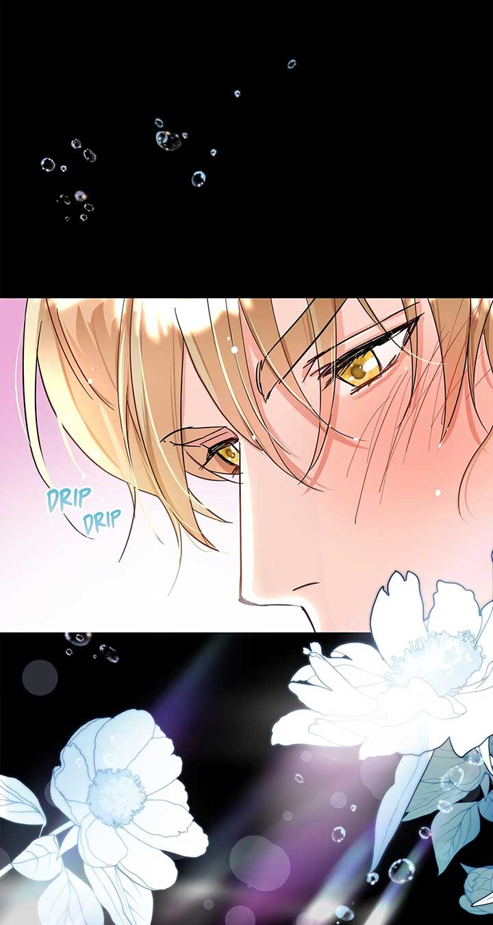 ch 3 17