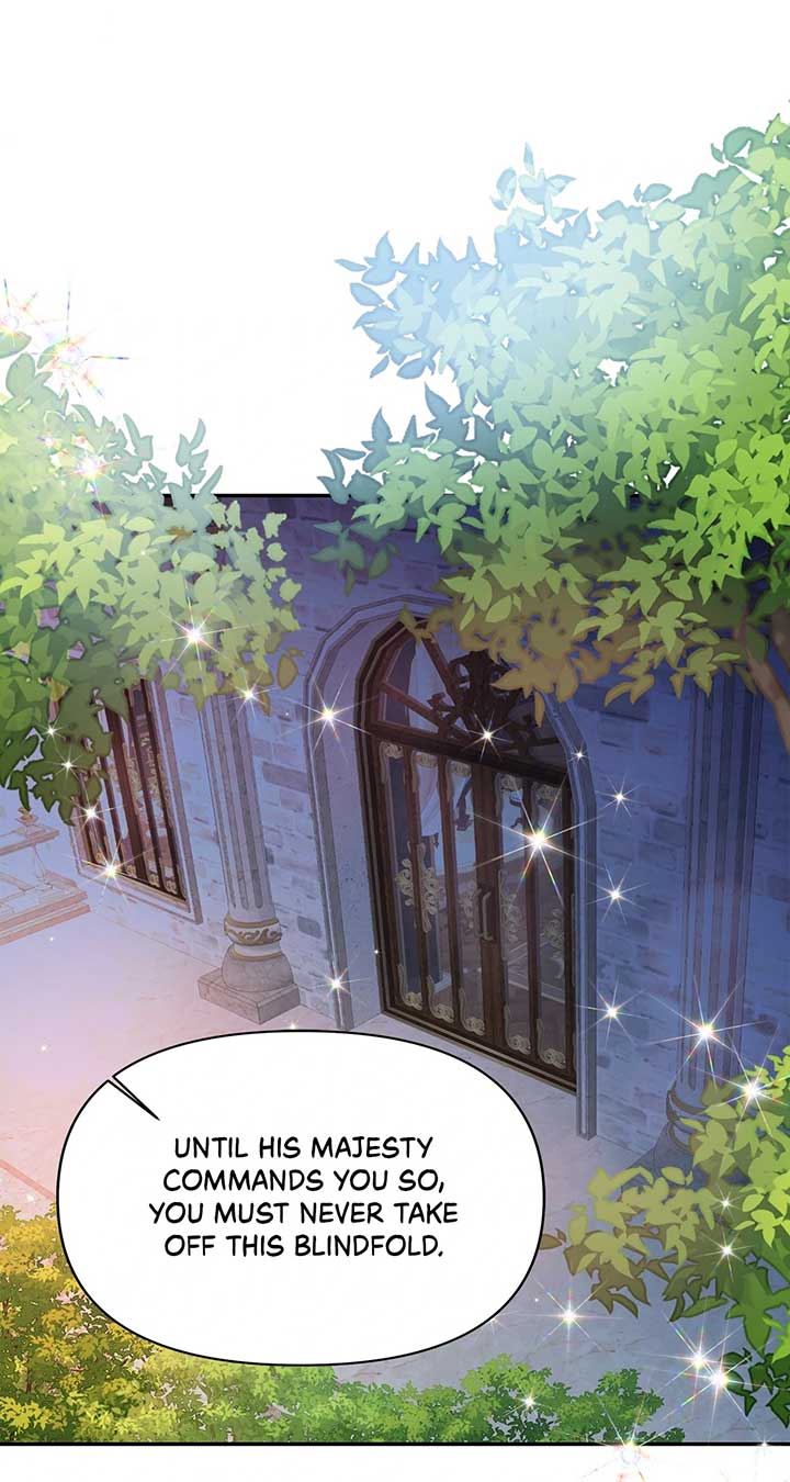 ch 3 65