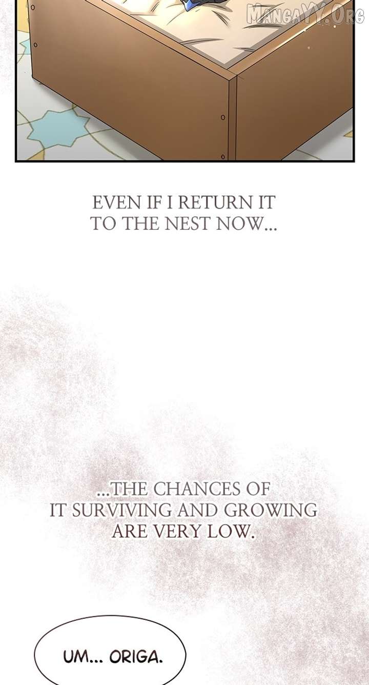 The Circumstances of the Lying Empress Chapter 27 356 028