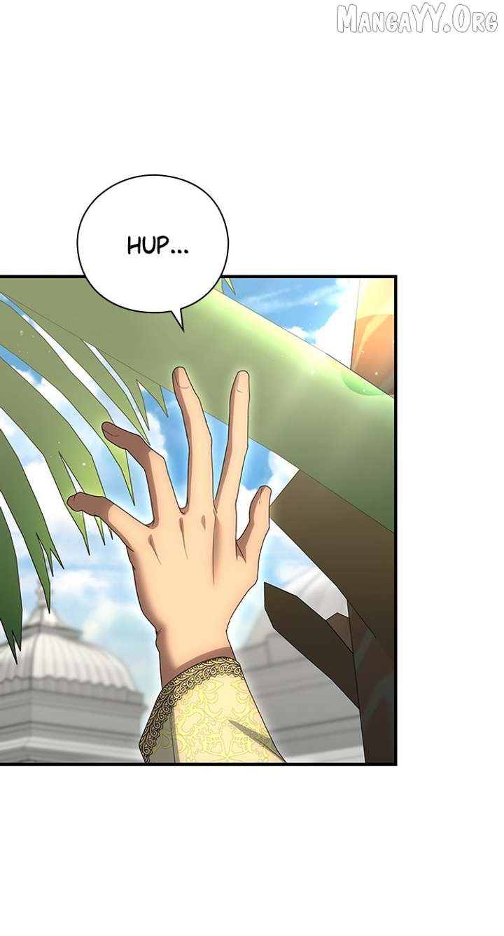The Circumstances of the Lying Empress Chapter 27 371 043