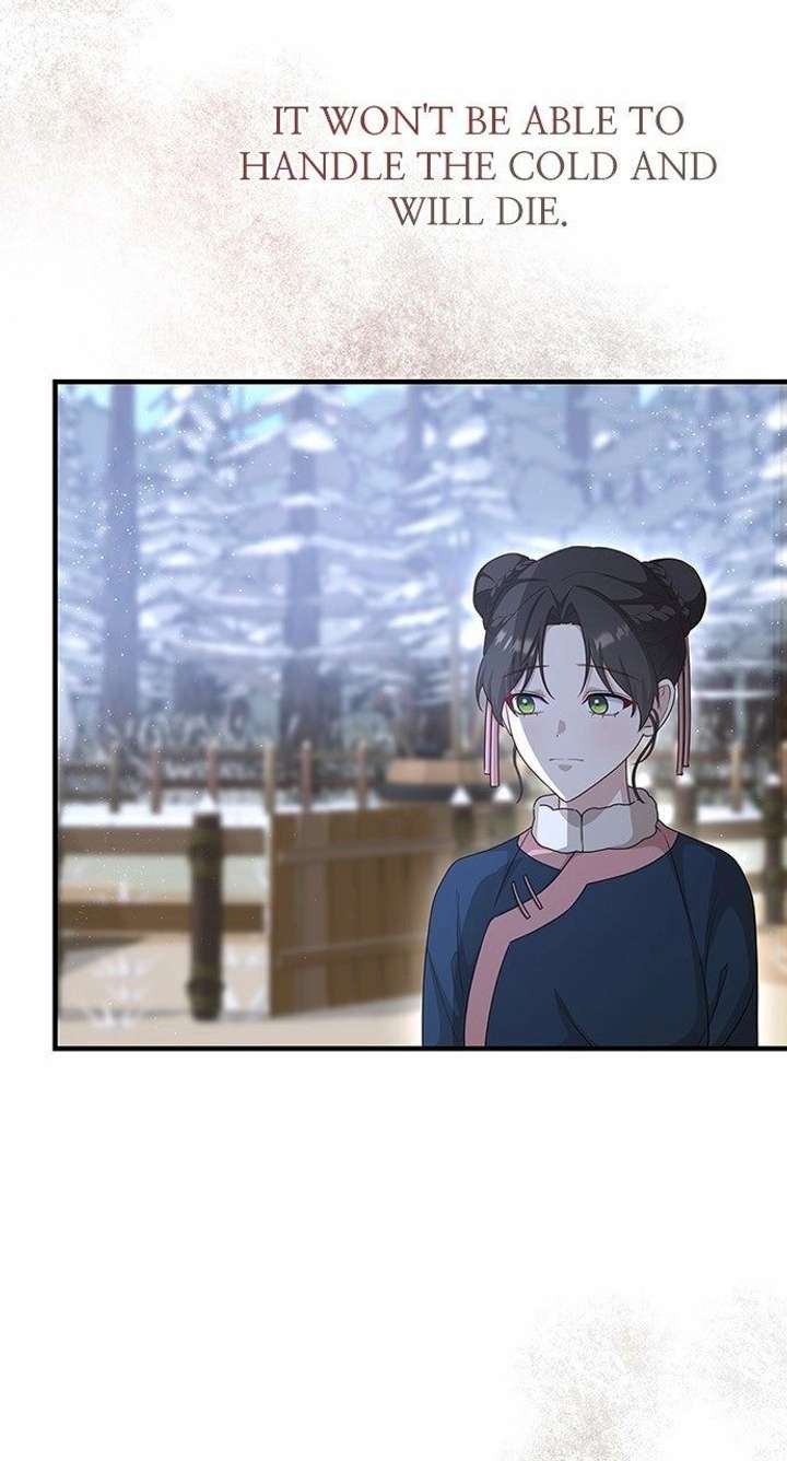 The Circumstances of the Lying Empress Chapter 31 371 085