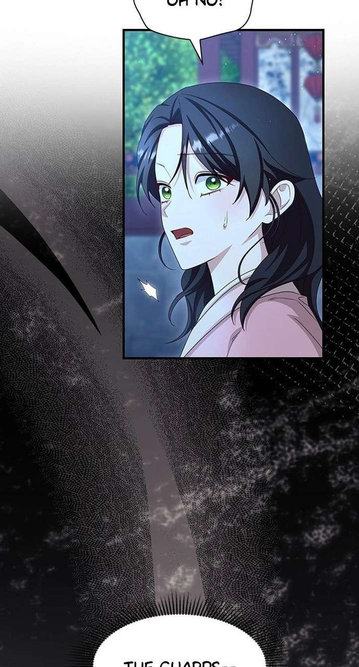ch 41 81