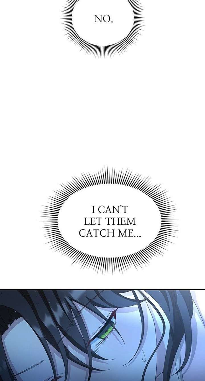 ch 41 84