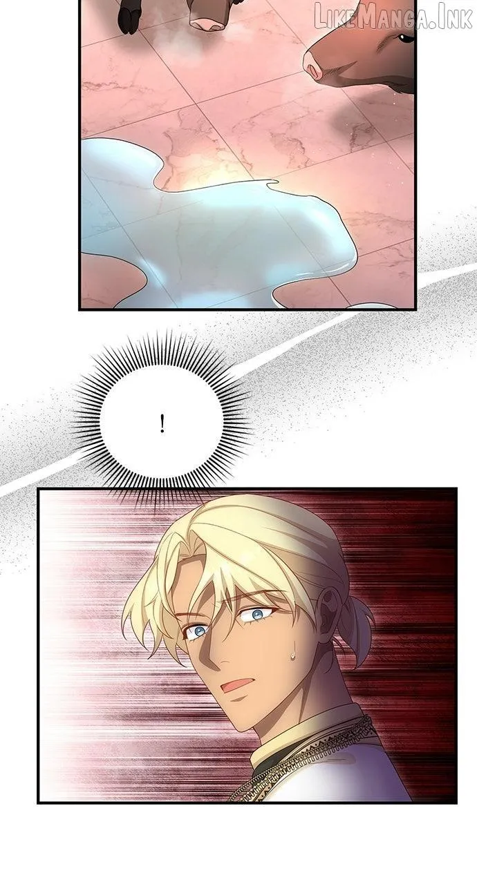 3e04d97ec55e