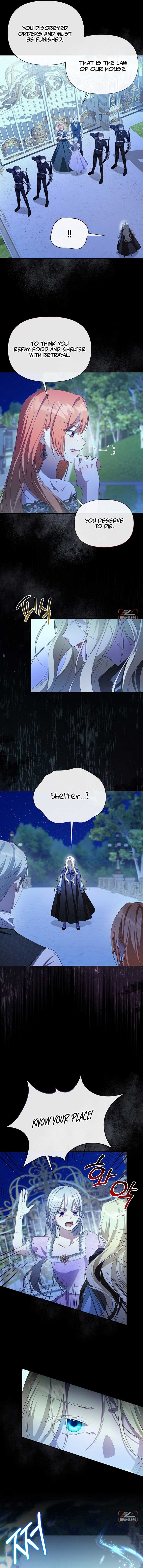 ch 17 11