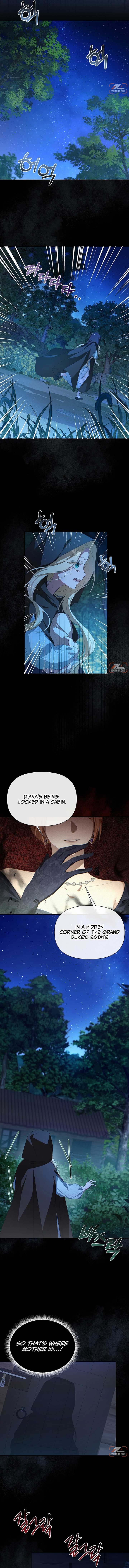 ch 17 5