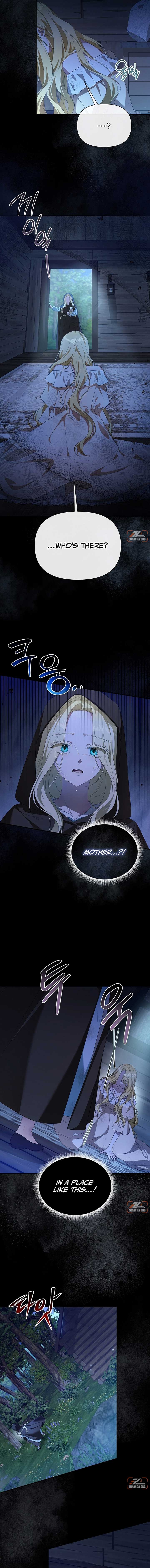 ch 17 6