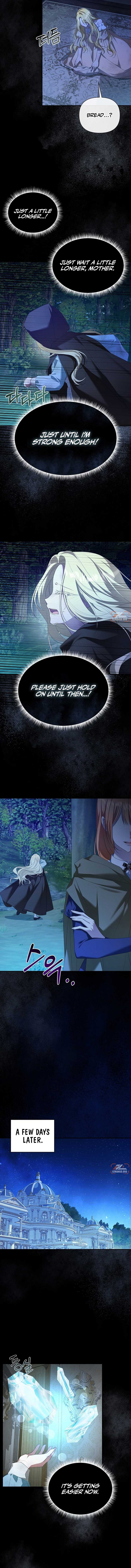 ch 17 7