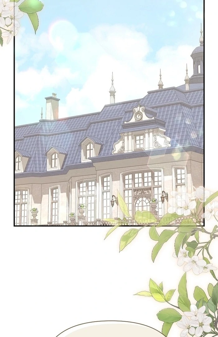 ch 29 81