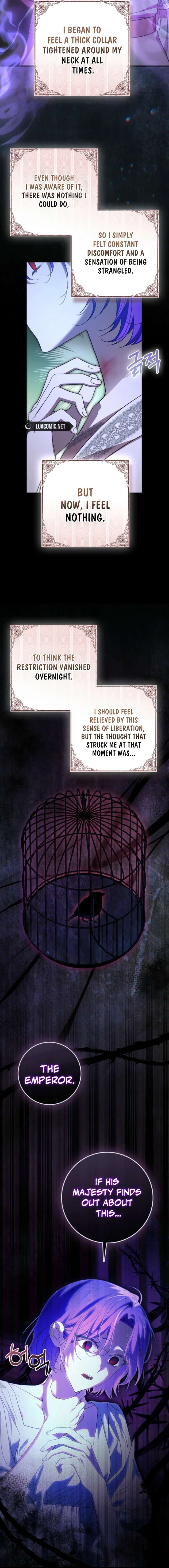 The Male Lead Is Obsessed With Proposing to Me Chapter 45 62 ch 45 2