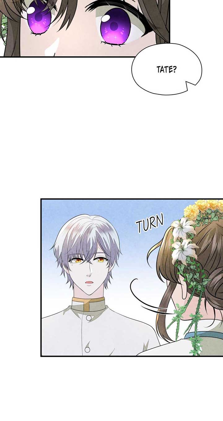 The Wizard and The Tree Chapter 44 299 67