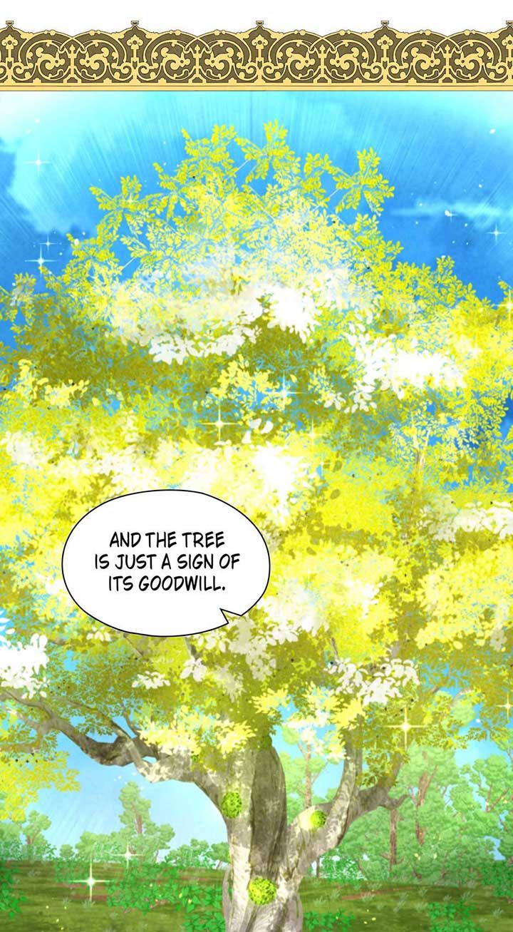 The Wizard and The Tree Chapter 48 254 49