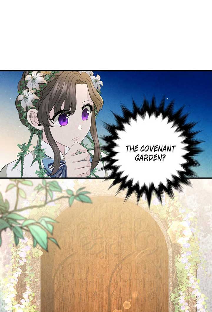 The Wizard and The Tree Chapter 48 257 52