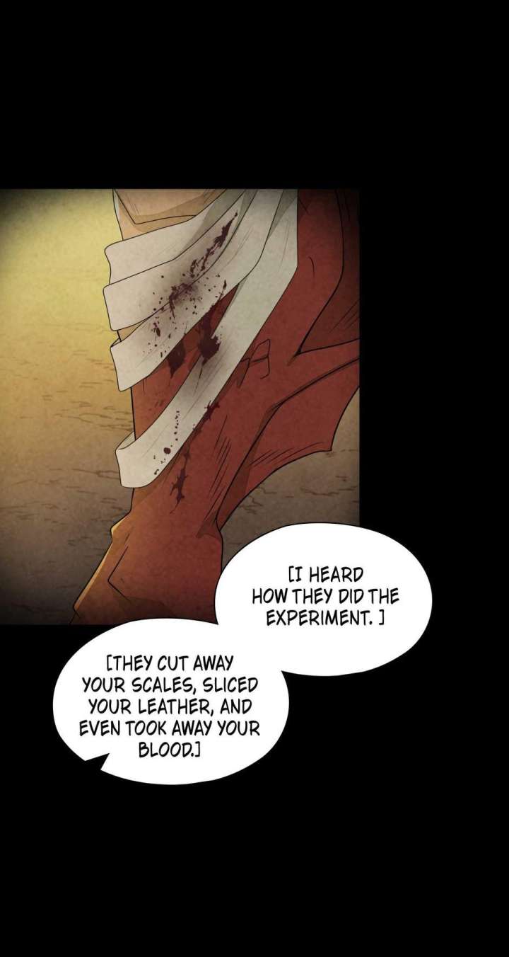 The Wizard and The Tree Chapter 51 251 58