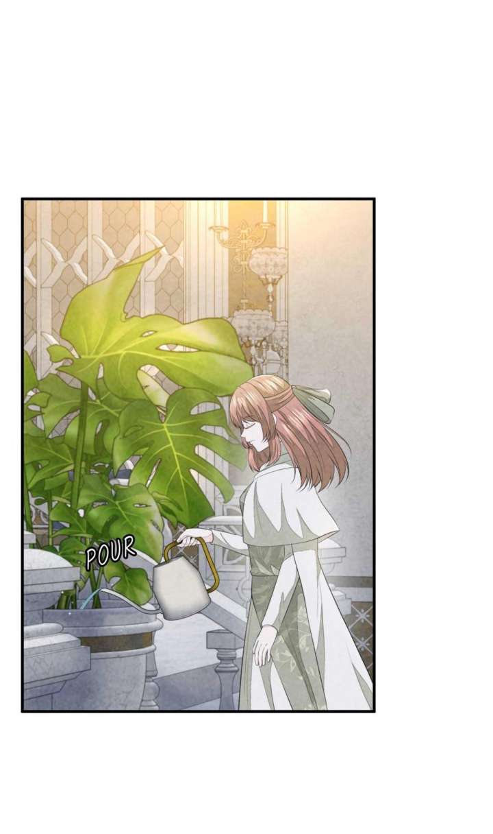 The Wizard and The Tree Chapter 52 249 44