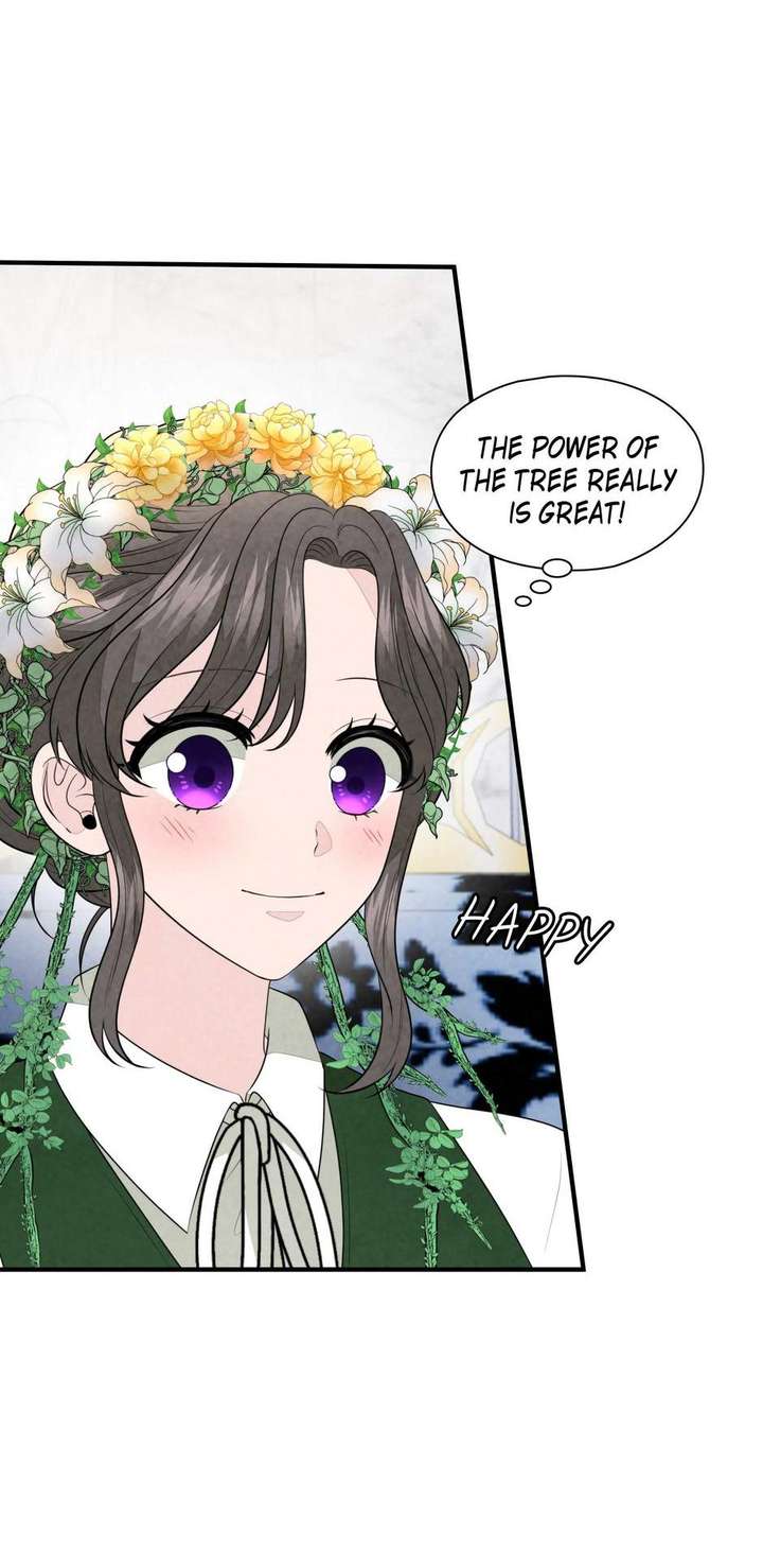 The Wizard and The Tree Chapter 59 282 44