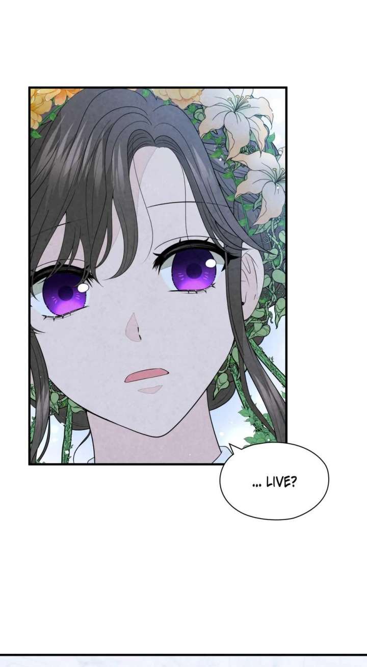 The Wizard and The Tree Chapter 62 270 44