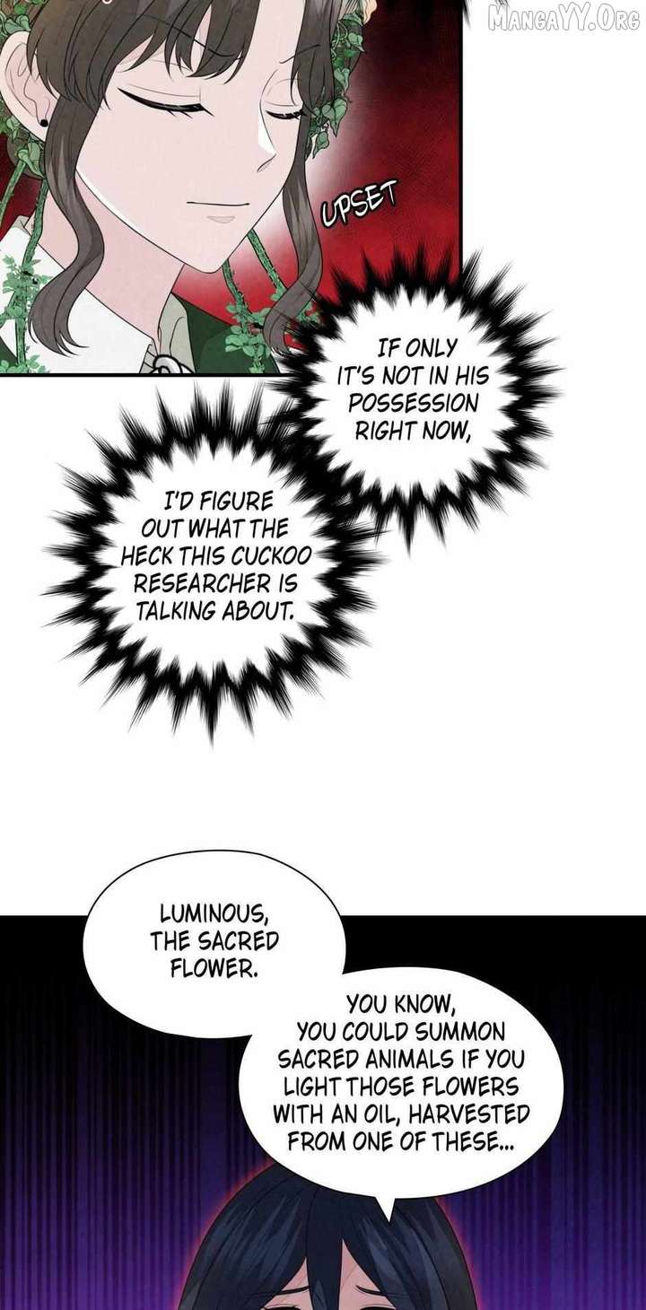 The Wizard and The Tree Chapter 63 243 38