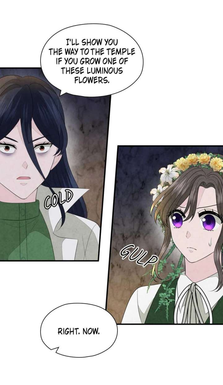 The Wizard and The Tree Chapter 63 245 40