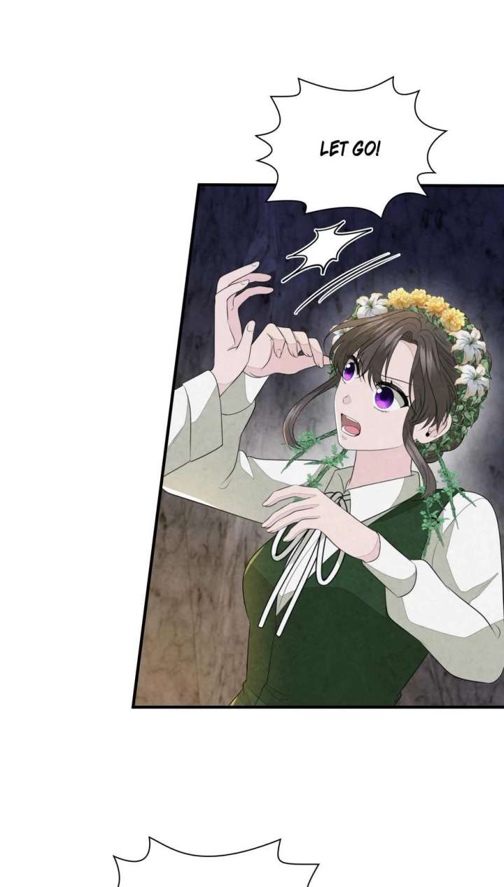 The Wizard and The Tree Chapter 63 248 43
