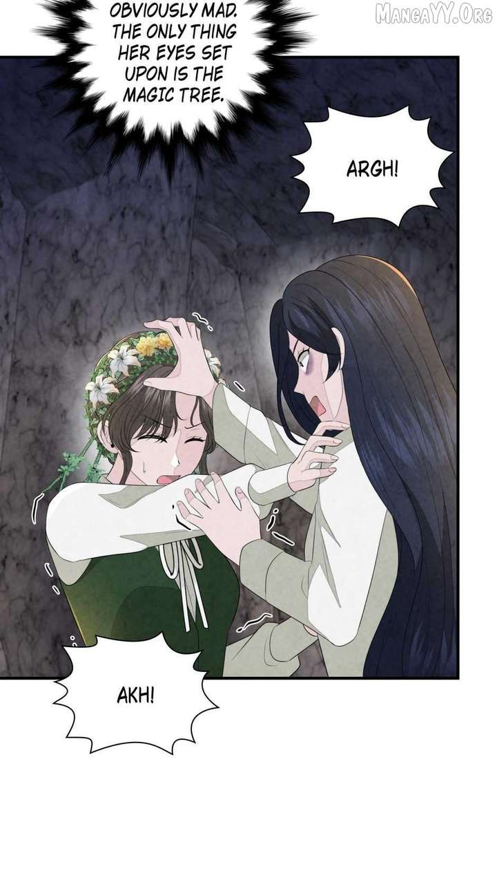 The Wizard and The Tree Chapter 63 250 45