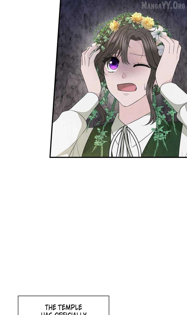 The Wizard and The Tree Chapter 63 253 48