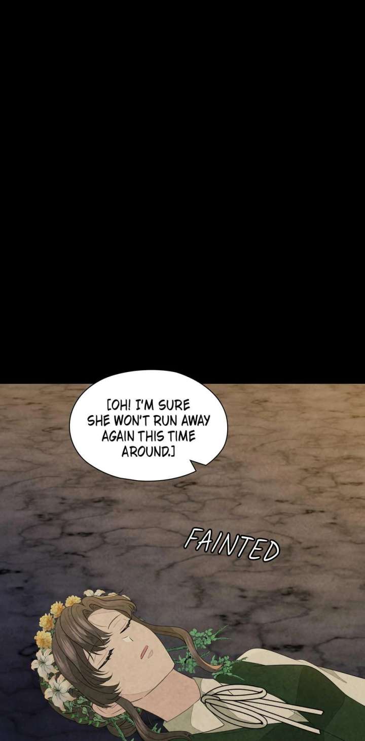 The Wizard and The Tree Chapter 64 300 50