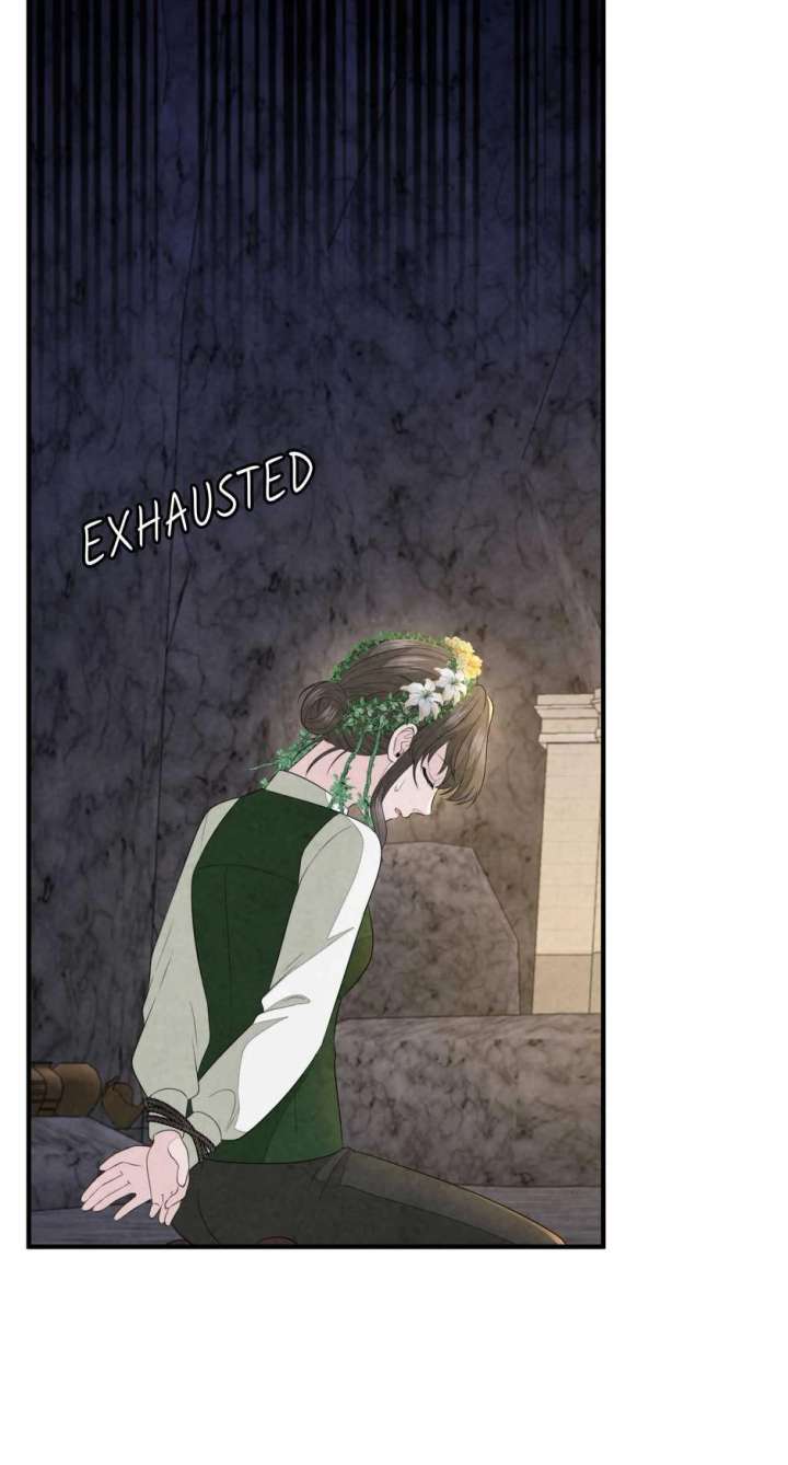 The Wizard and The Tree Chapter 64 310 60
