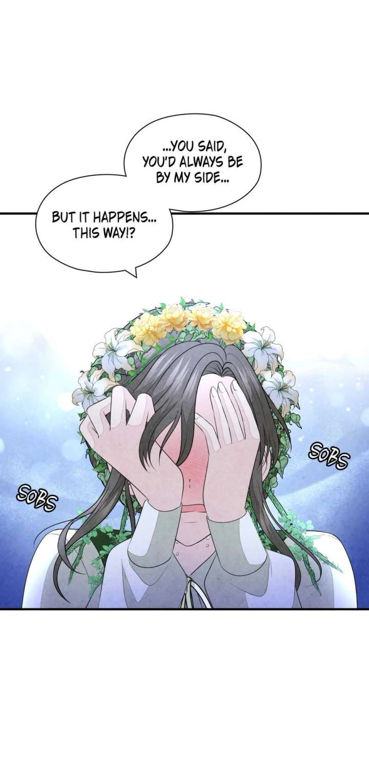 The Wizard and The Tree Chapter 65 227 04