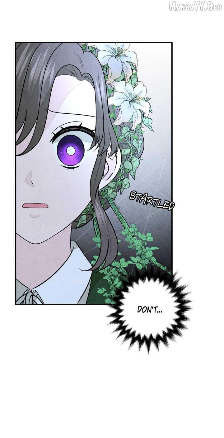 The Wizard and The Tree Chapter 65 232 09
